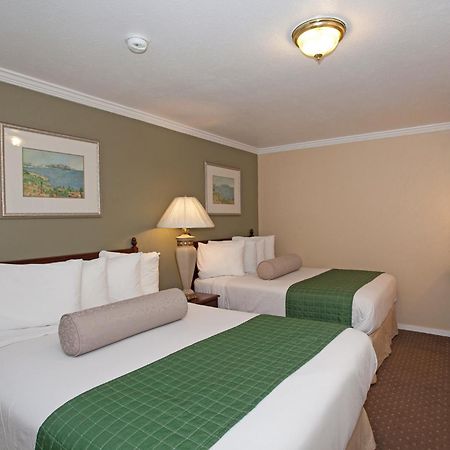 Traveler'S Inn Williams, Ca Modern Renovated Hotel Стая снимка